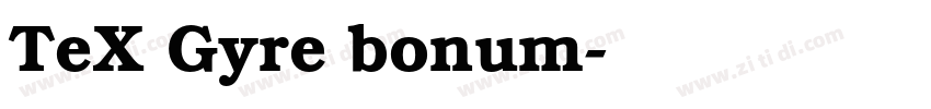 TeX Gyre bonum字体转换